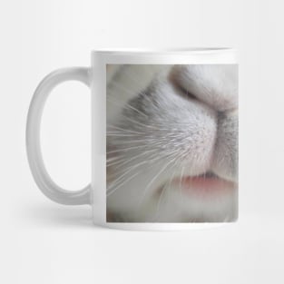 Boop! Sweetie the Royal English Spot Rabbit of FairyCastleFarm Mug